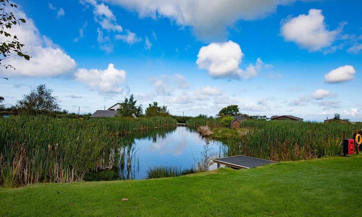 Photo of Others in Llansantffraed