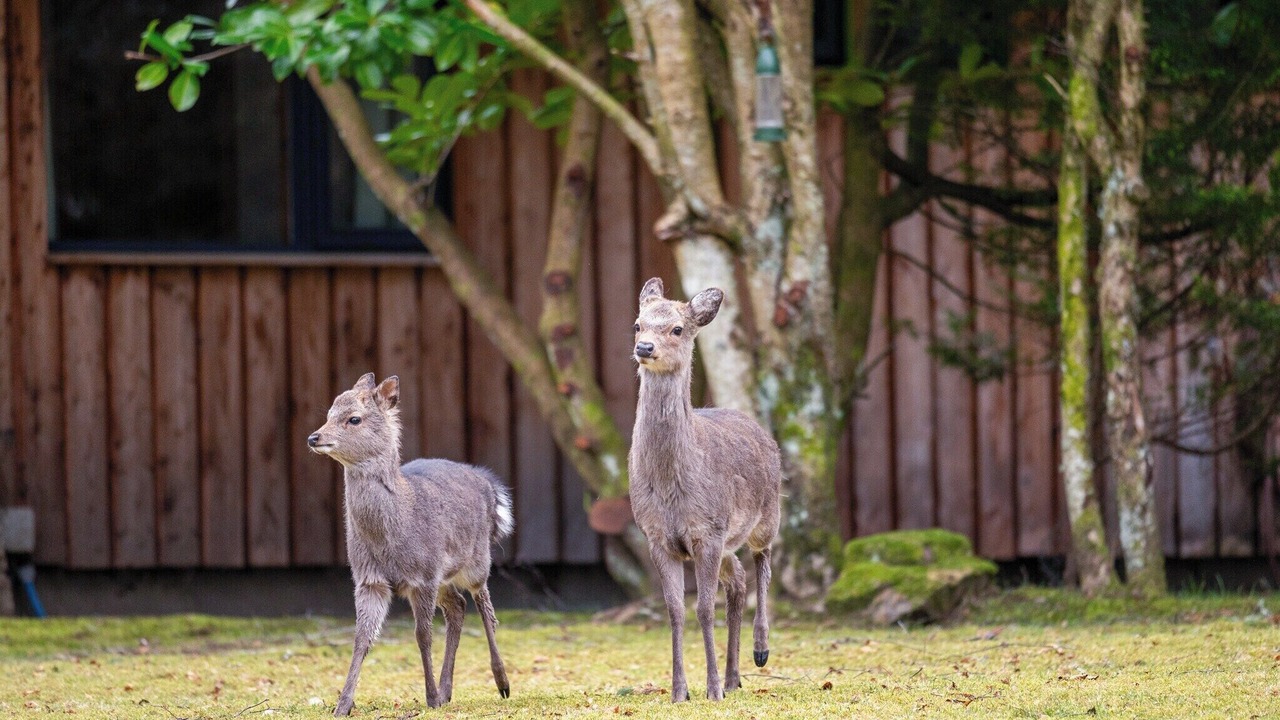 Photo of Others in Whitebridge