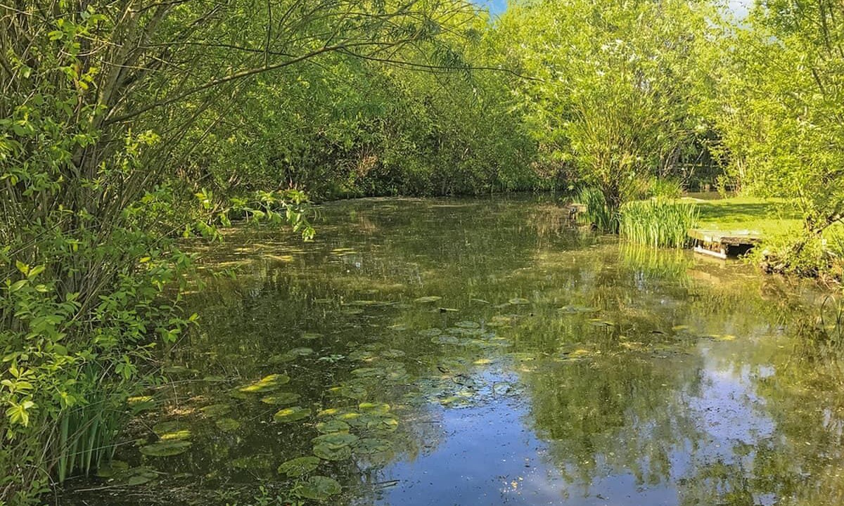 Photo of Others in Langold