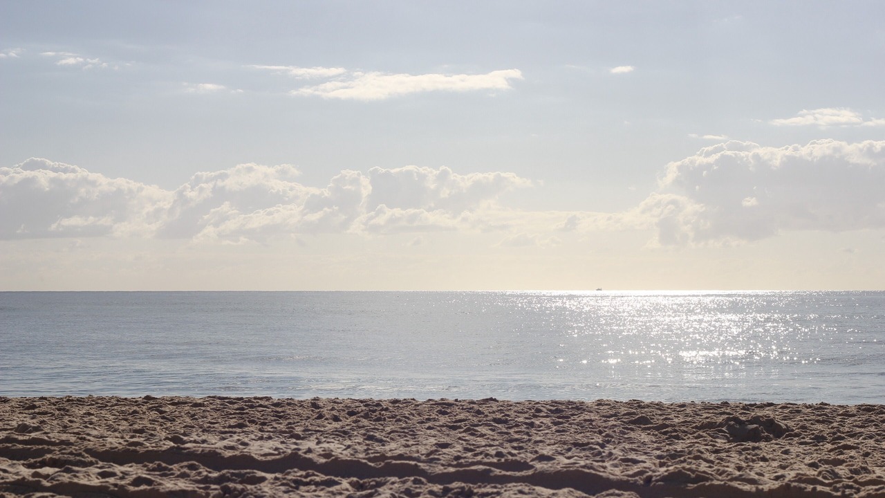 Photo of Others in Miami