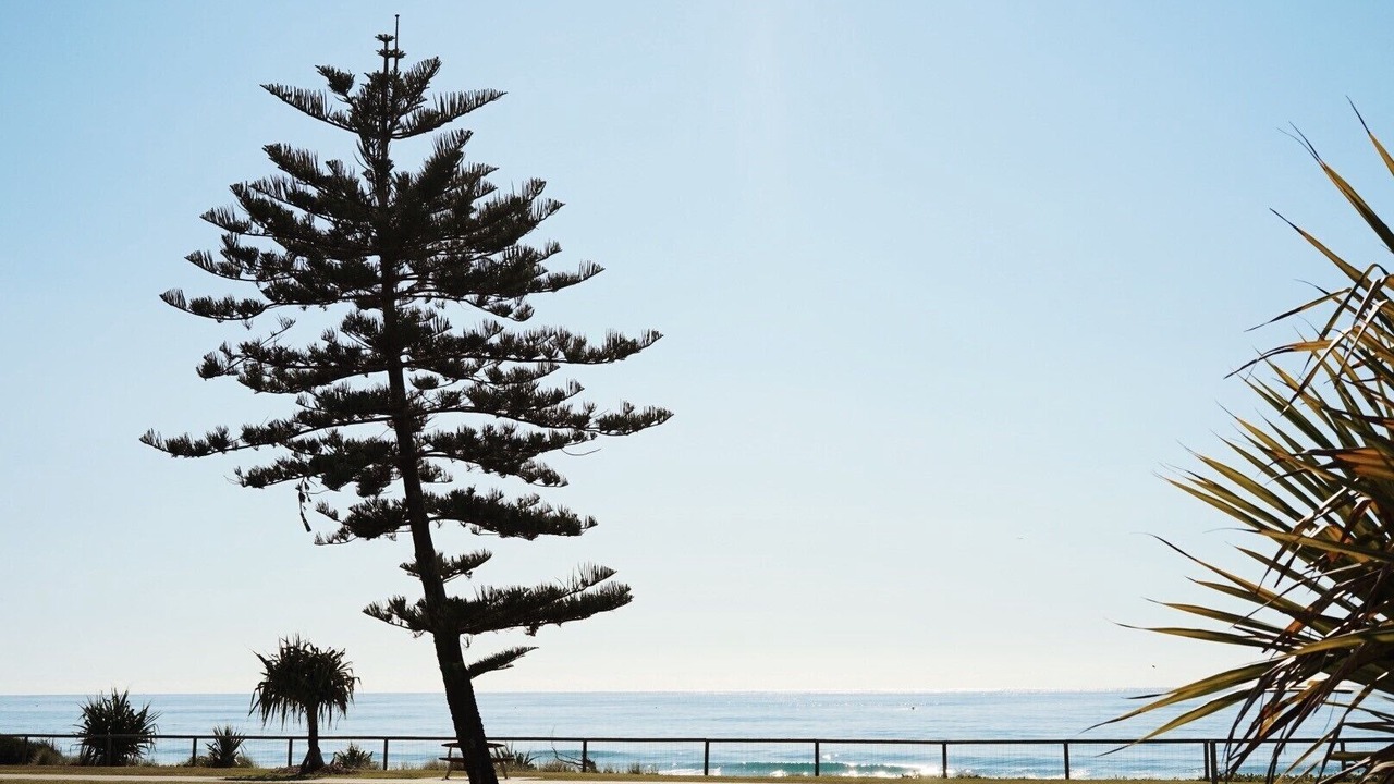 Photo of Others in Miami