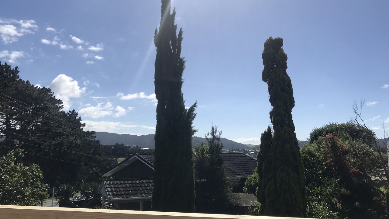 Photo of Outdoor in Mangawhai Heads