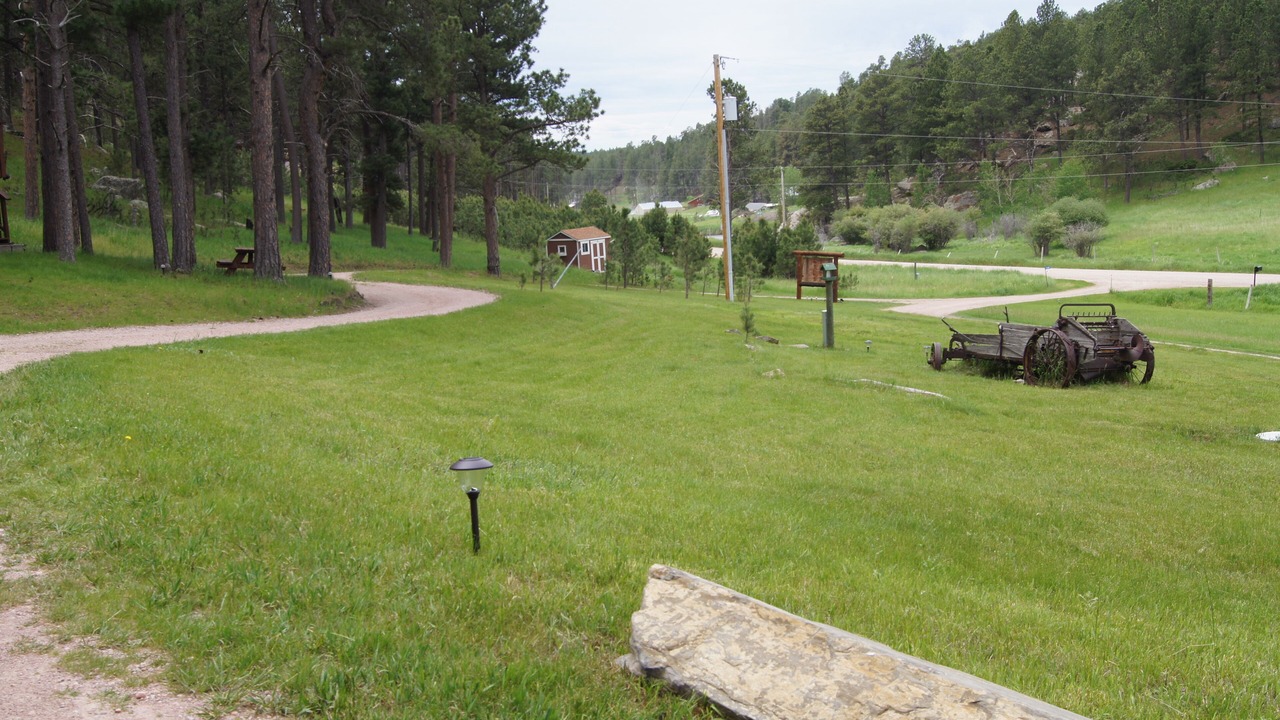 Photo of Outdoor in Custer