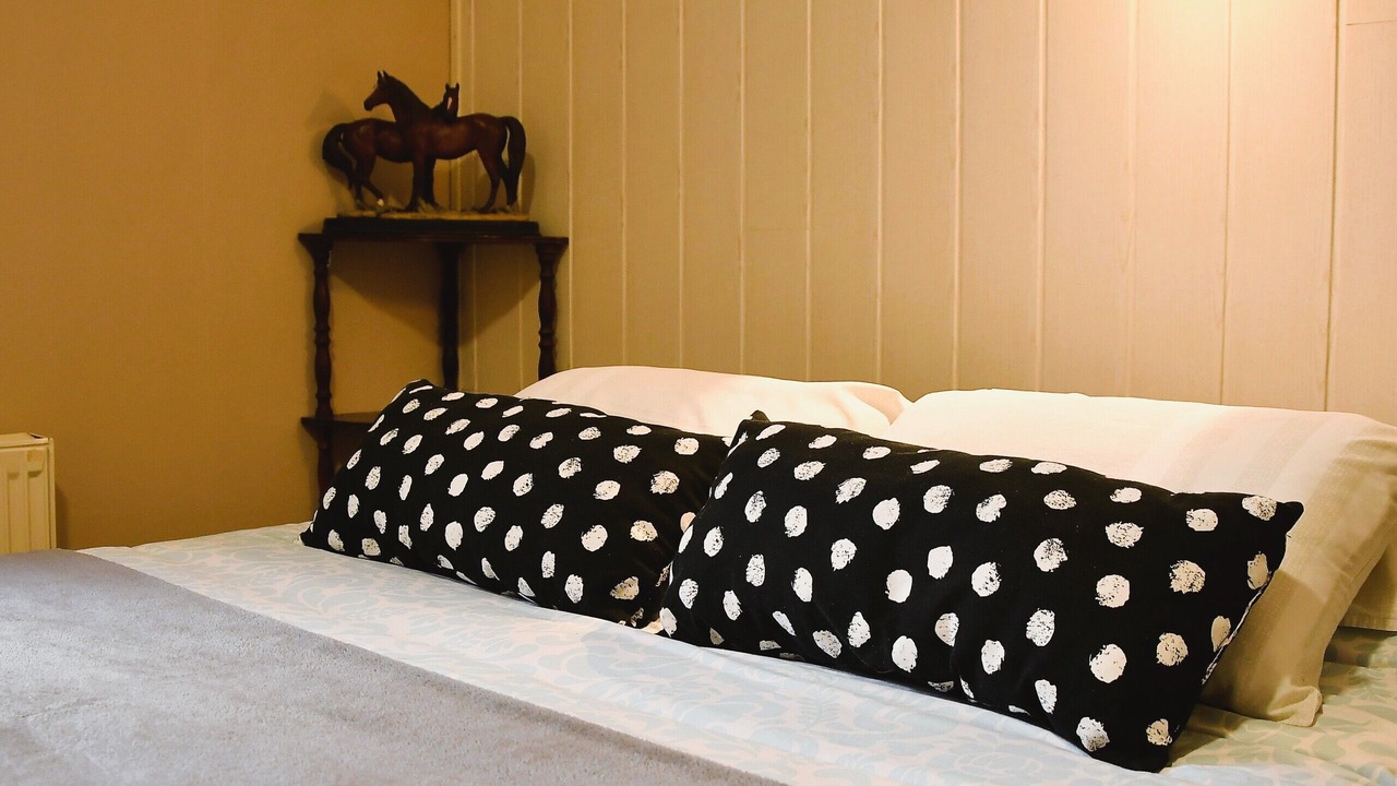 Photo of Bedroom in Chatillon-sous-les-Cotes