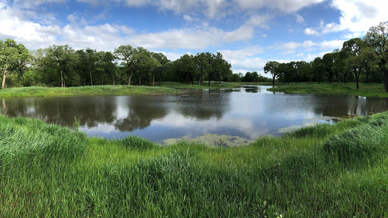 Photo of Outdoor in Calvert