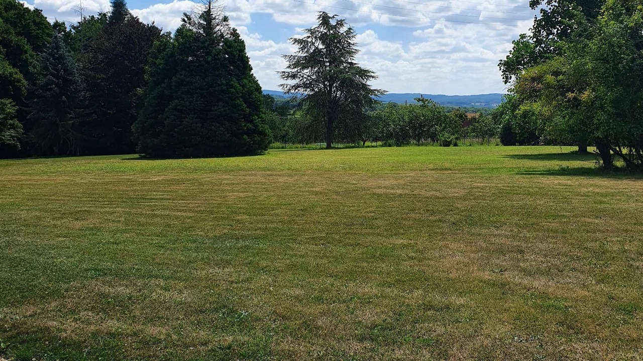 Photo of Others in Betete