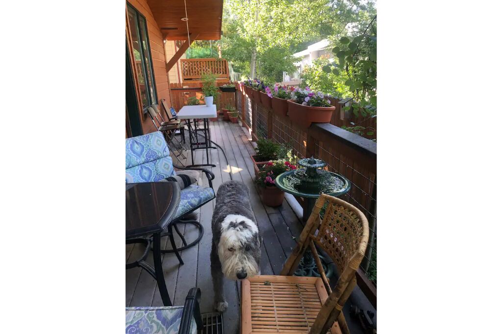 Photo of Others in Aspen