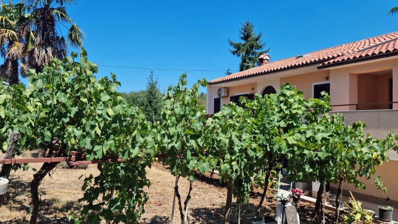 Photo of Outdoor in Vizinada