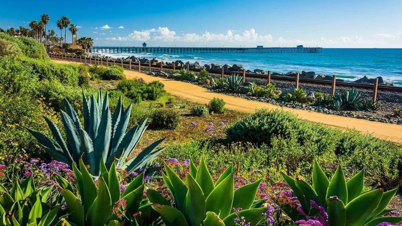 Photo of Others in San Clemente