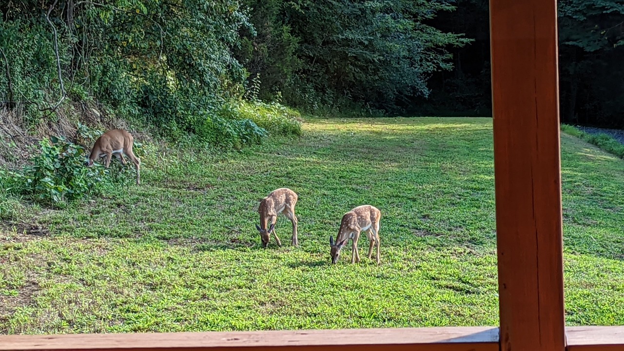 Photo of Others in Gainesboro