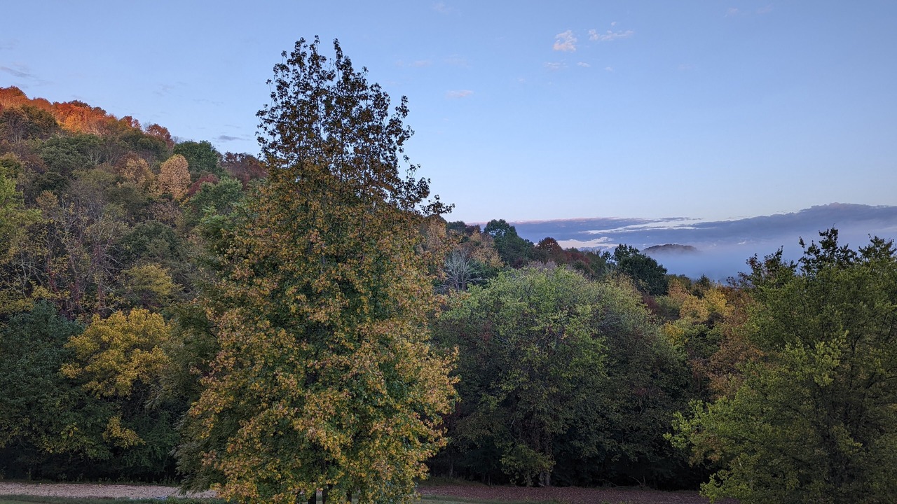 Photo of Outdoor in Gainesboro