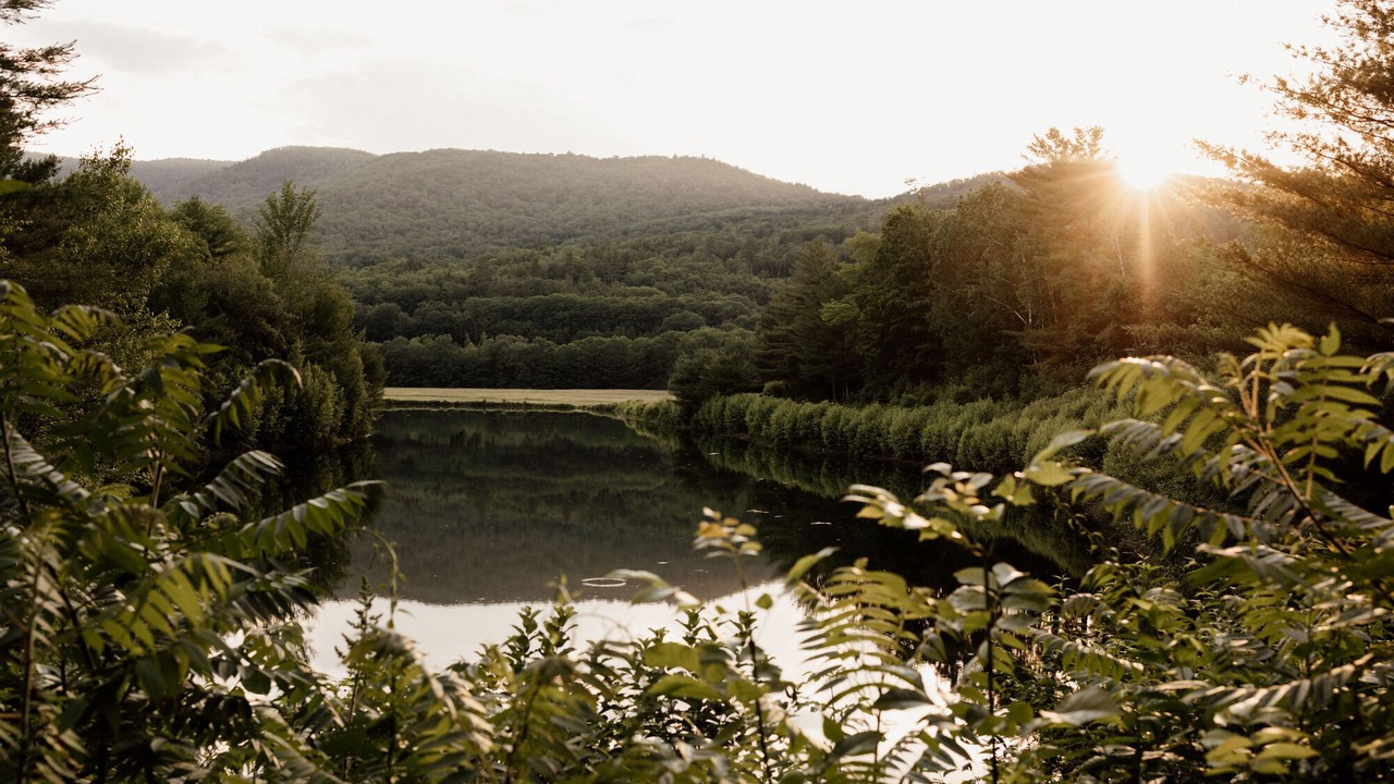 Photo of Others in North Woodstock