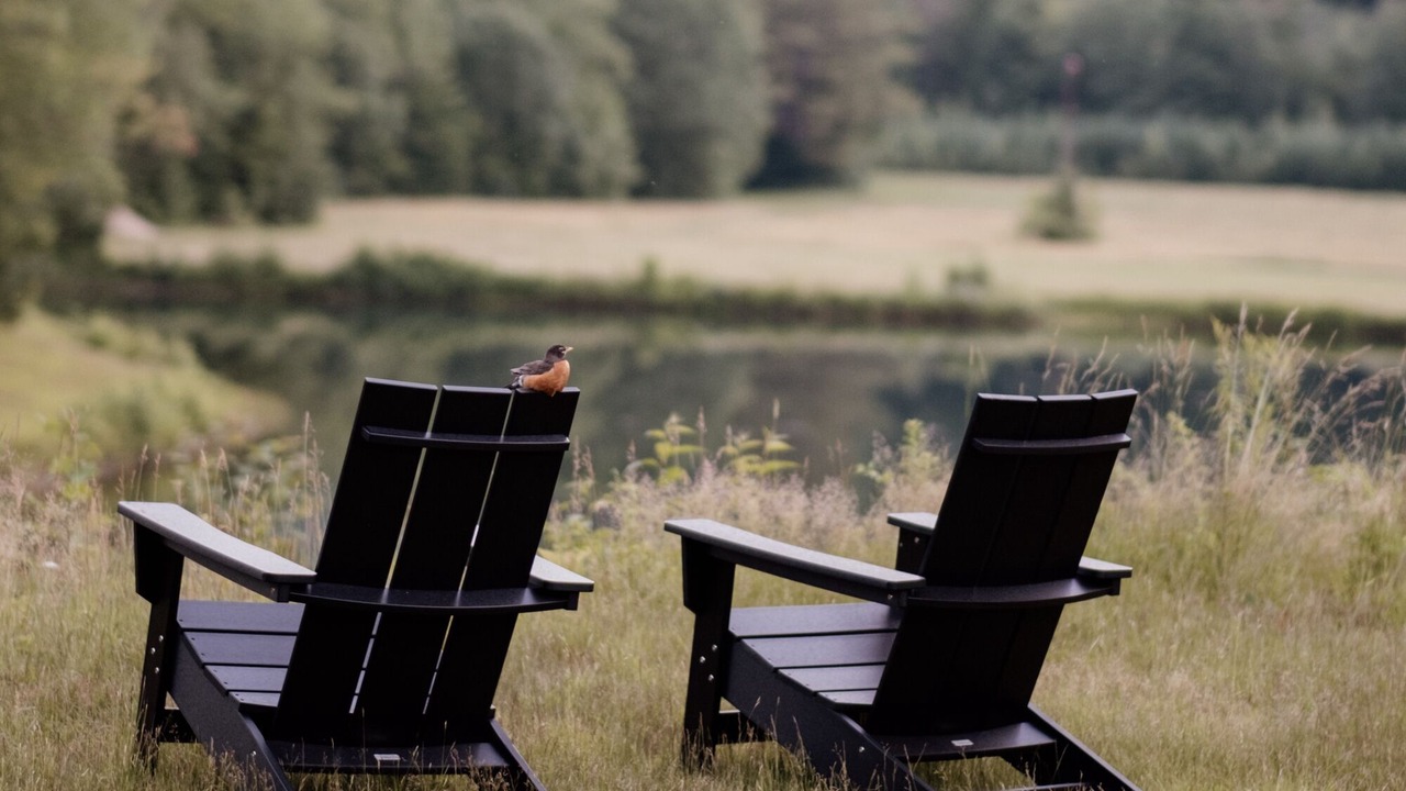 Photo of Others in North Woodstock