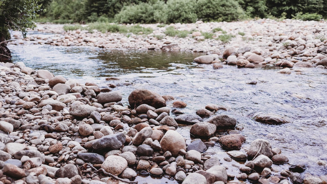 Photo of Others in North Woodstock