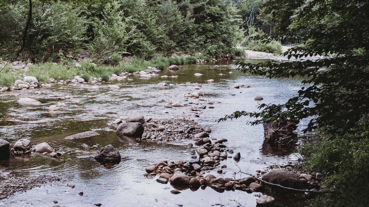 Photo of Others in North Woodstock