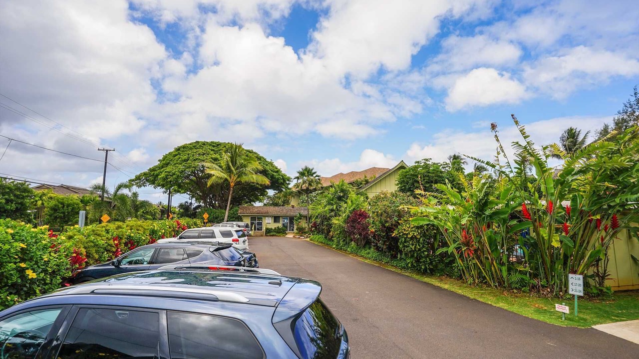 Photo of Outdoor in Wailua