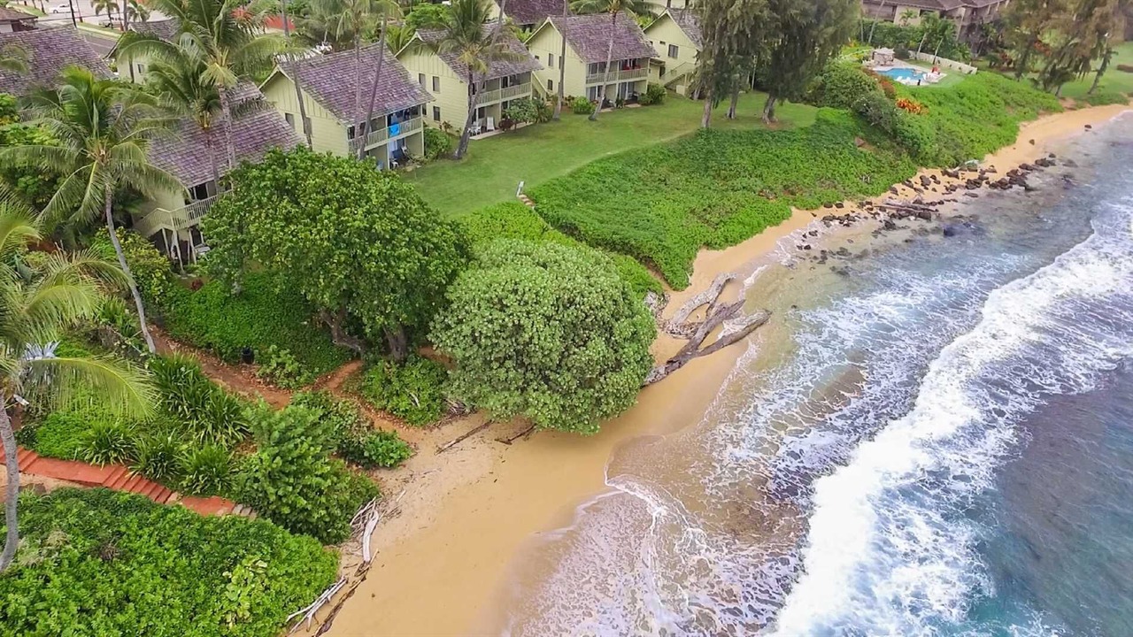 Photo of Others in Wailua