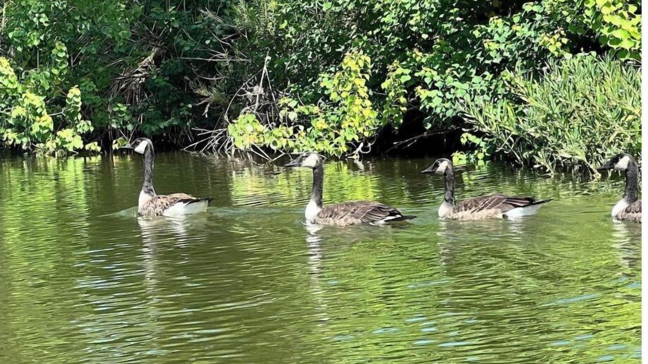 Photo of Outdoor in Granite Shoals