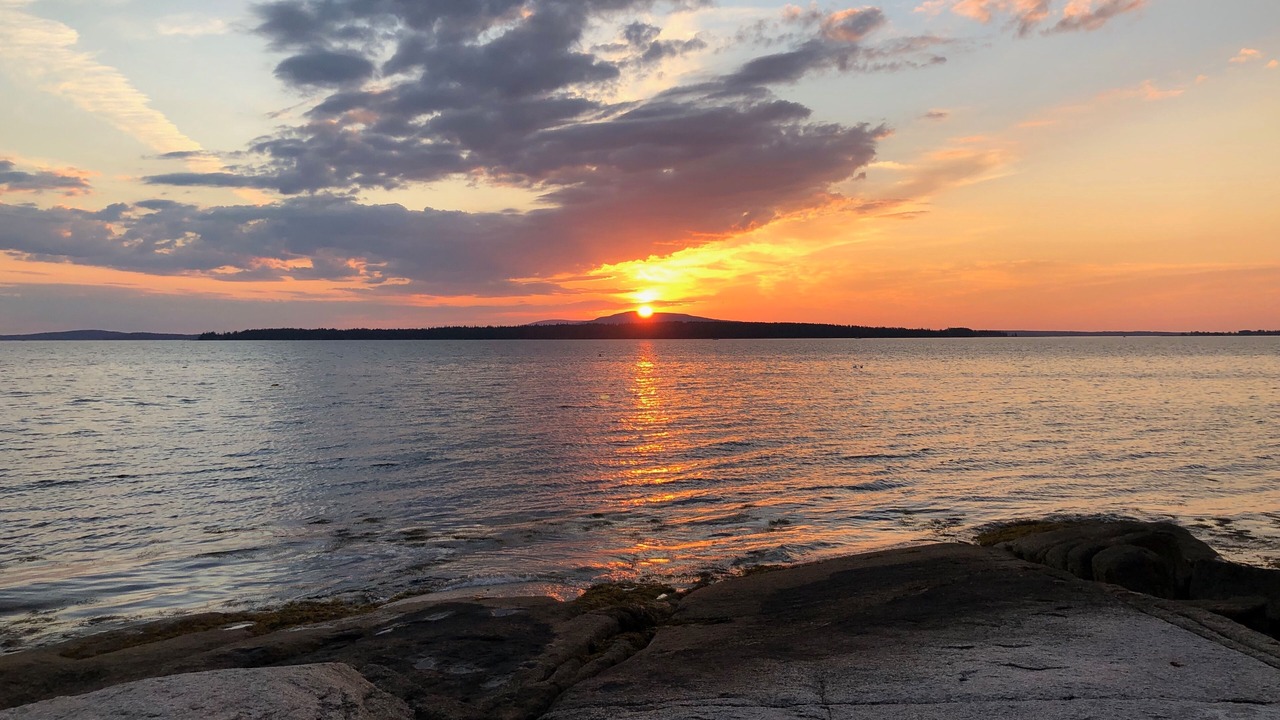 Photo of Others in Brooklin