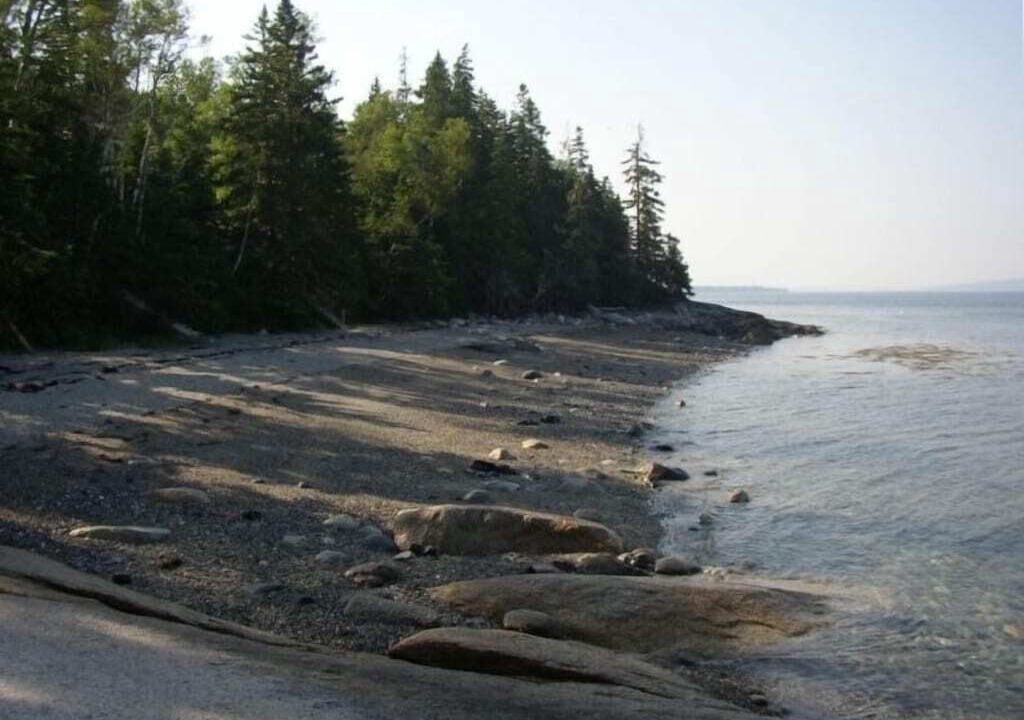 Photo of Others in Brooklin