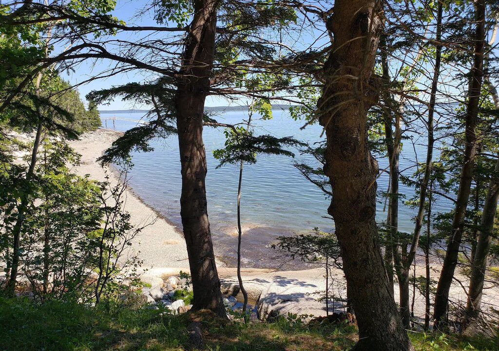 Photo of Others in Brooklin