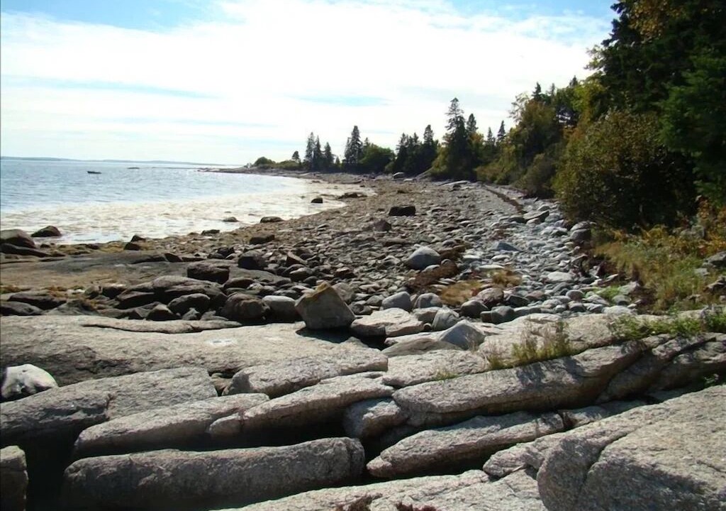 Photo of Others in Brooklin