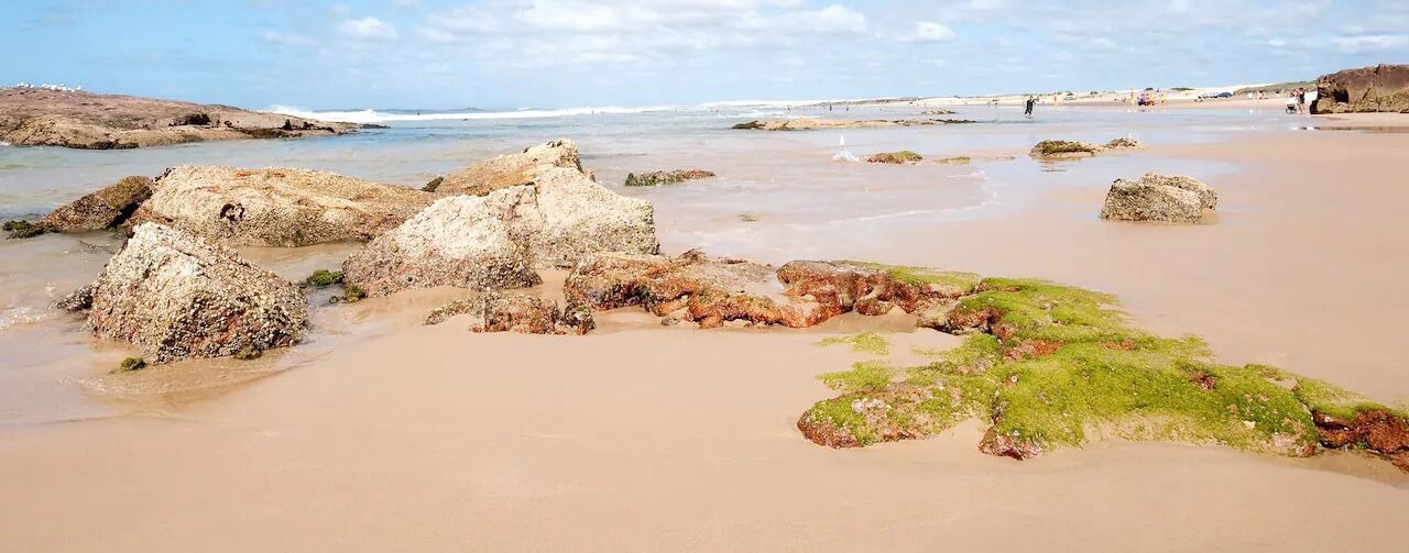 Photo of Others in Anna Bay