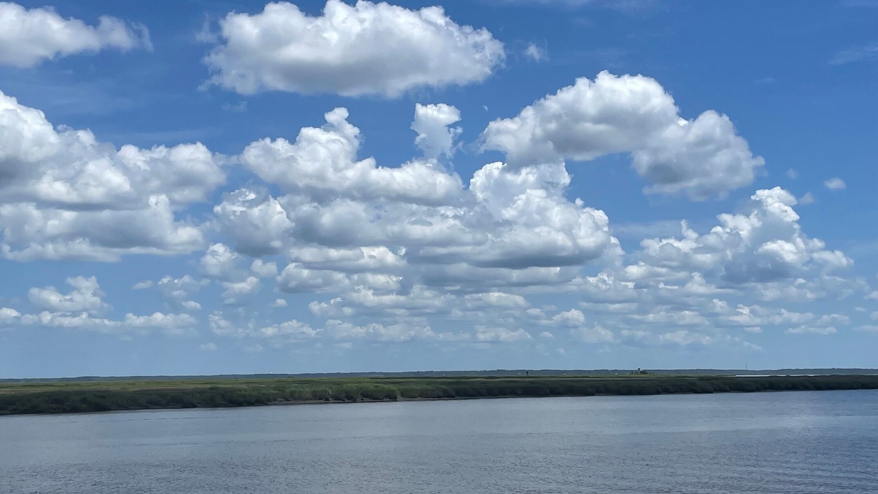 Photo of Others in Richmond Hill