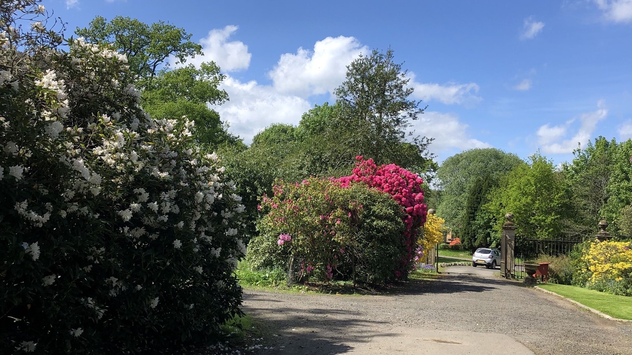 Photo of Outdoor in Doune