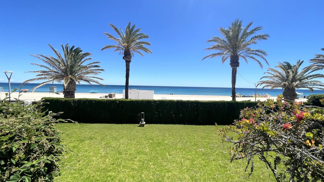 Photo of Others in Miami Platja