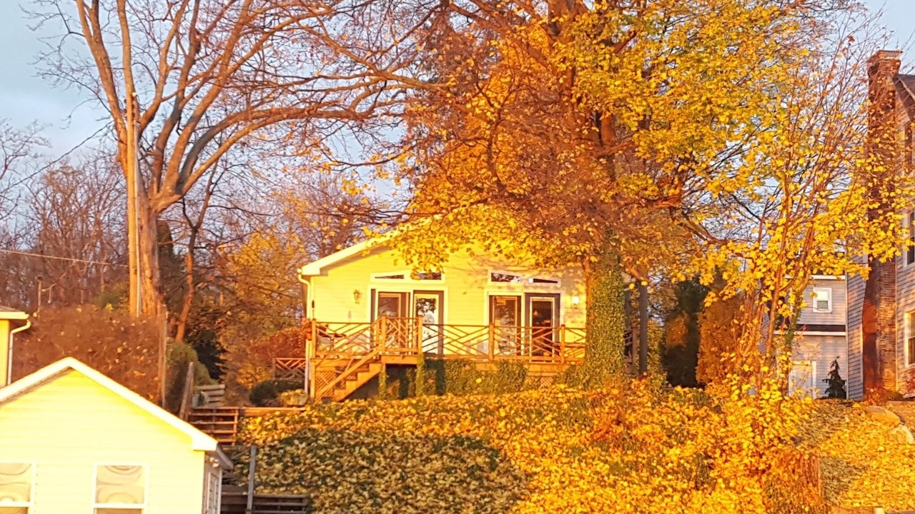 Photo of Outdoor in Geneva