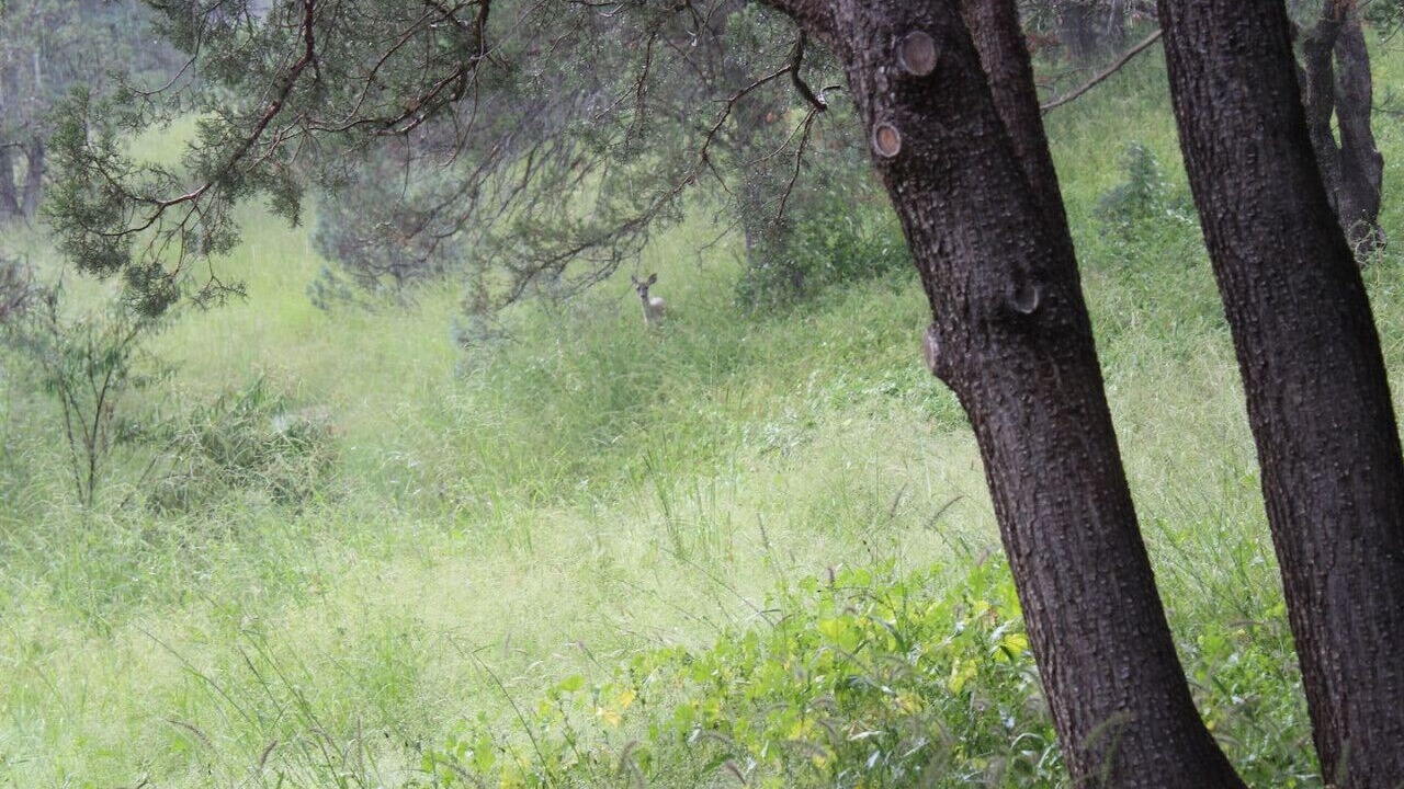 Photo of Others in Elgin