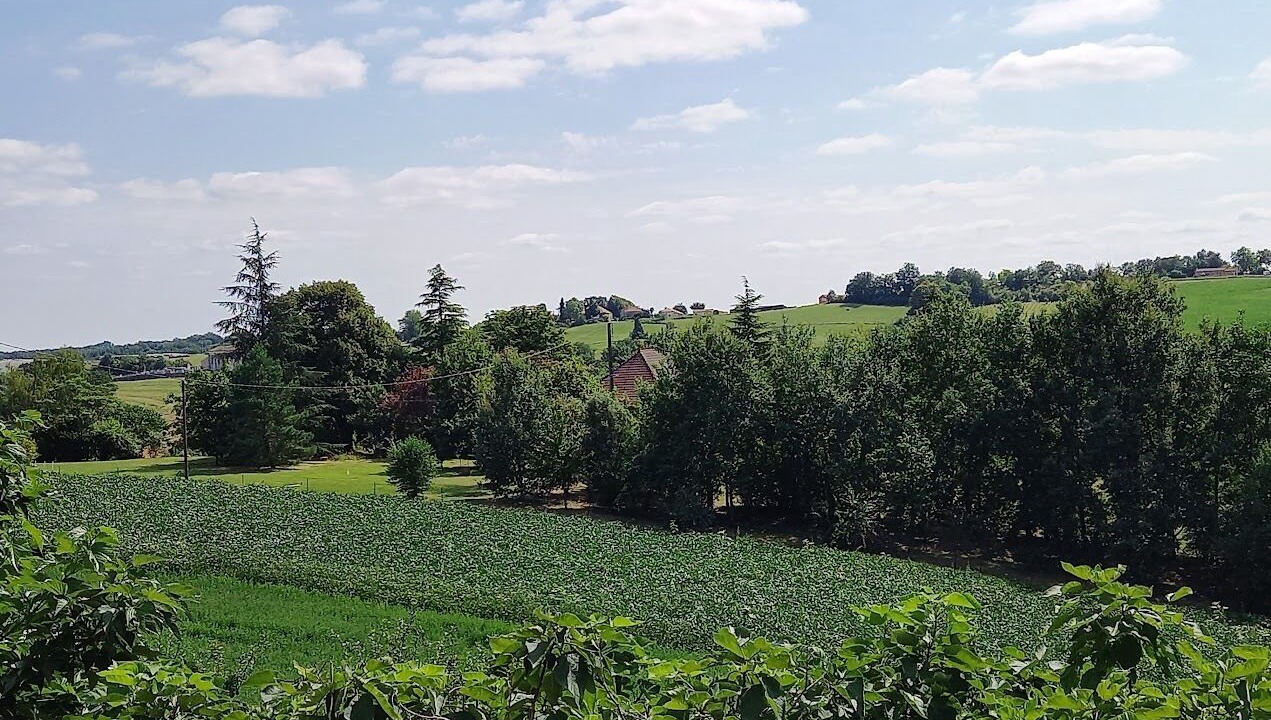Photo of Others in Durfort-Lacapelette