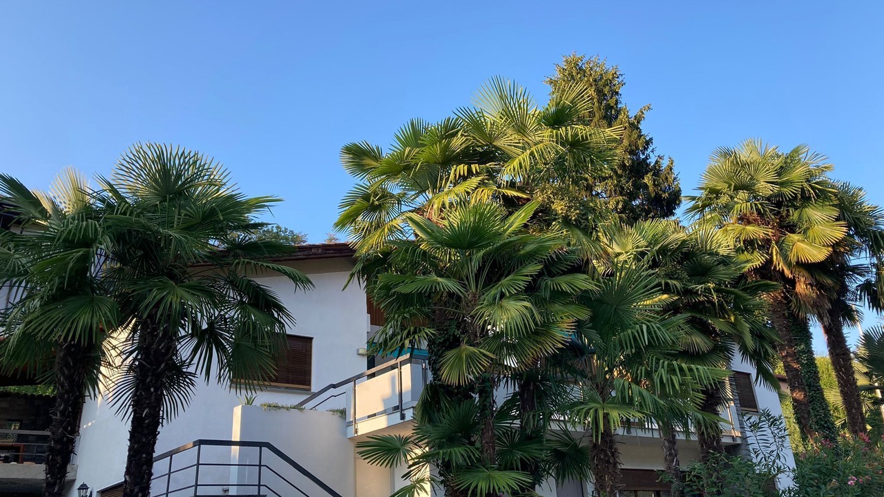 Photo of Outdoor in Monteggio
