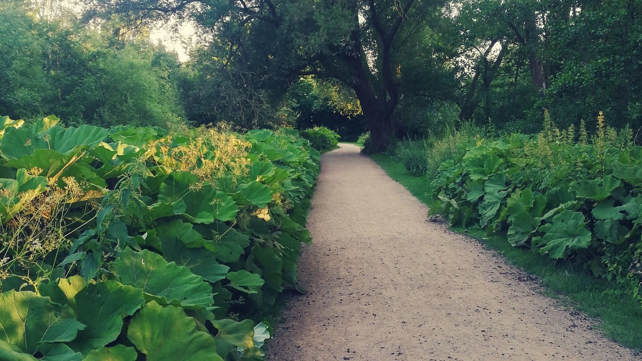 Photo of Outdoor in Gentofte