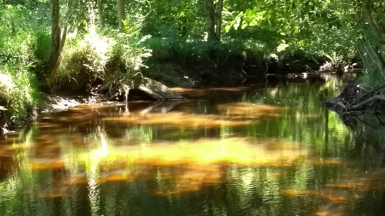 Photo of Others in Busserolles