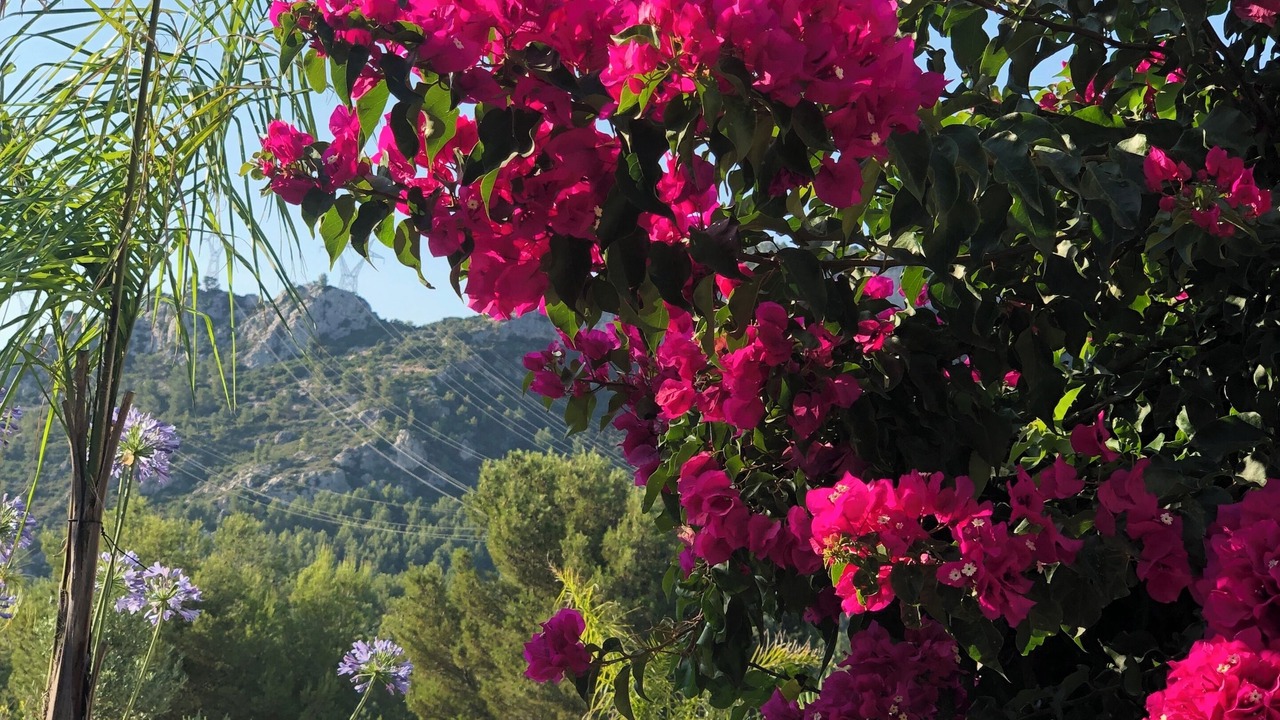 Photo of Outdoor in La Valette-du-Var
