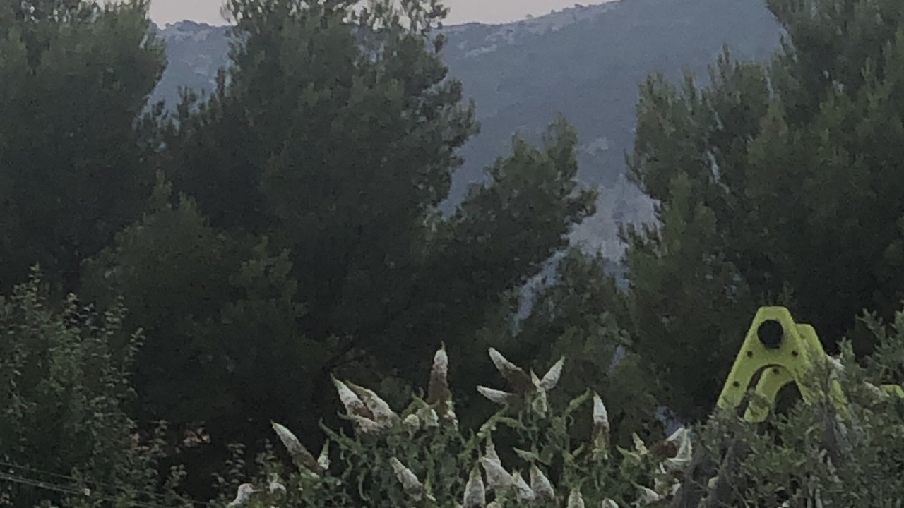 Photo of Outdoor in La Valette-du-Var