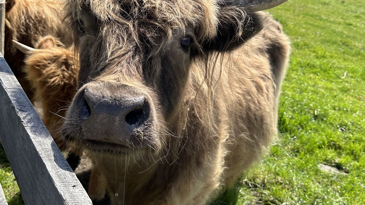 Photo of Others in Coronet Bay