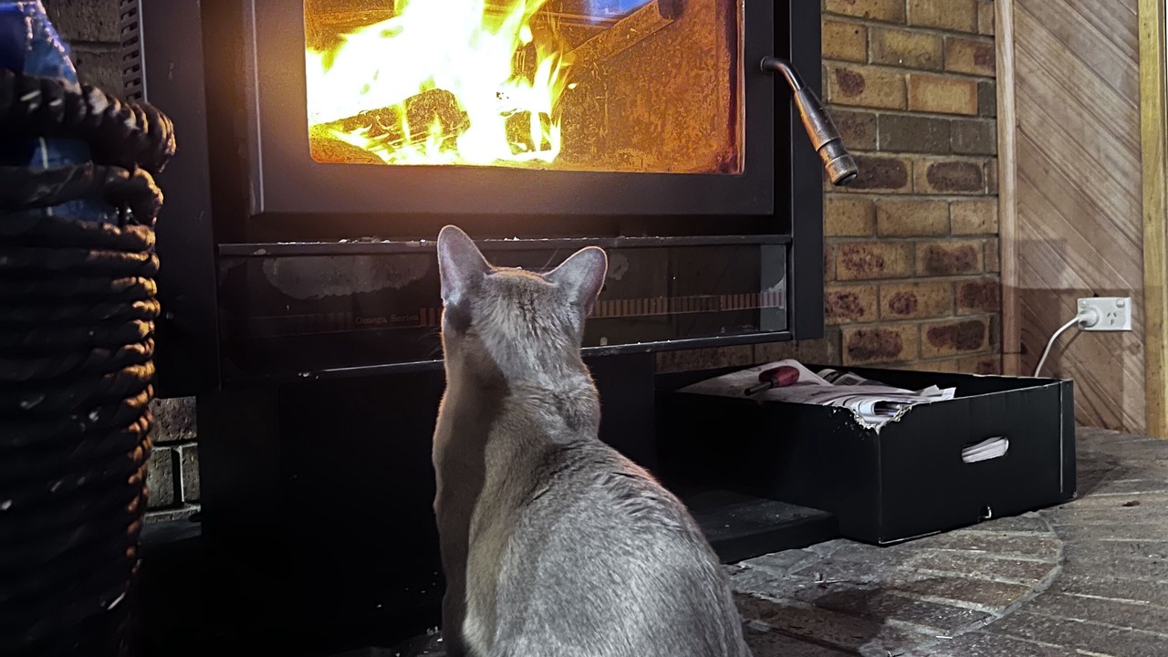 Photo of Livingroom in Coronet Bay