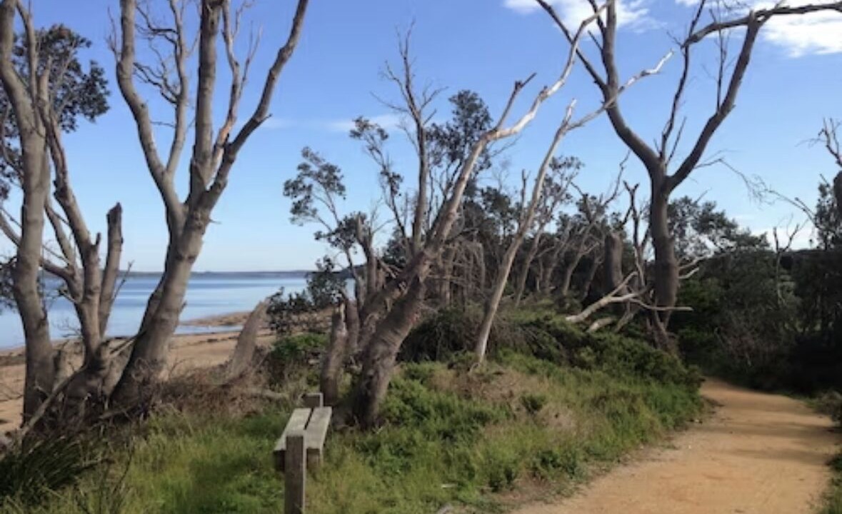 Photo of Others in Coronet Bay
