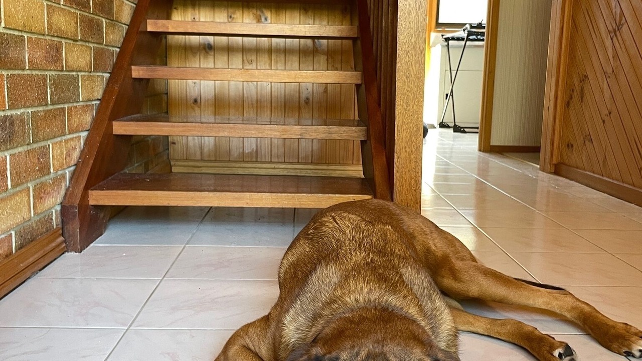 Photo of Others in Coronet Bay