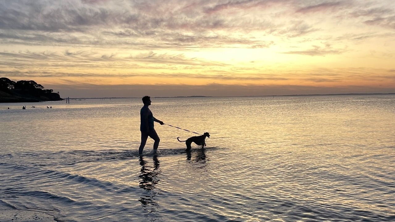 Photo of Others in Coronet Bay