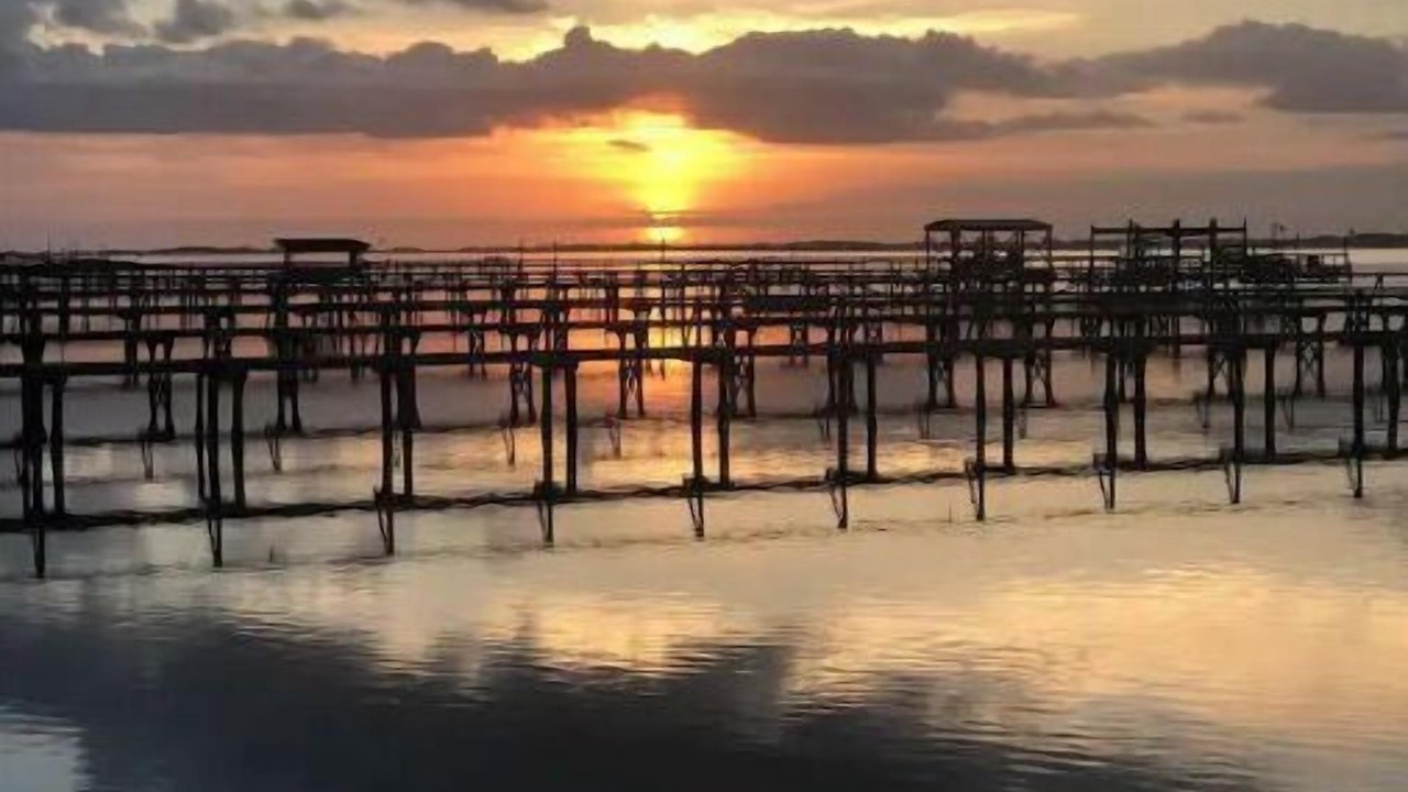 Photo of Outdoor in Riviera