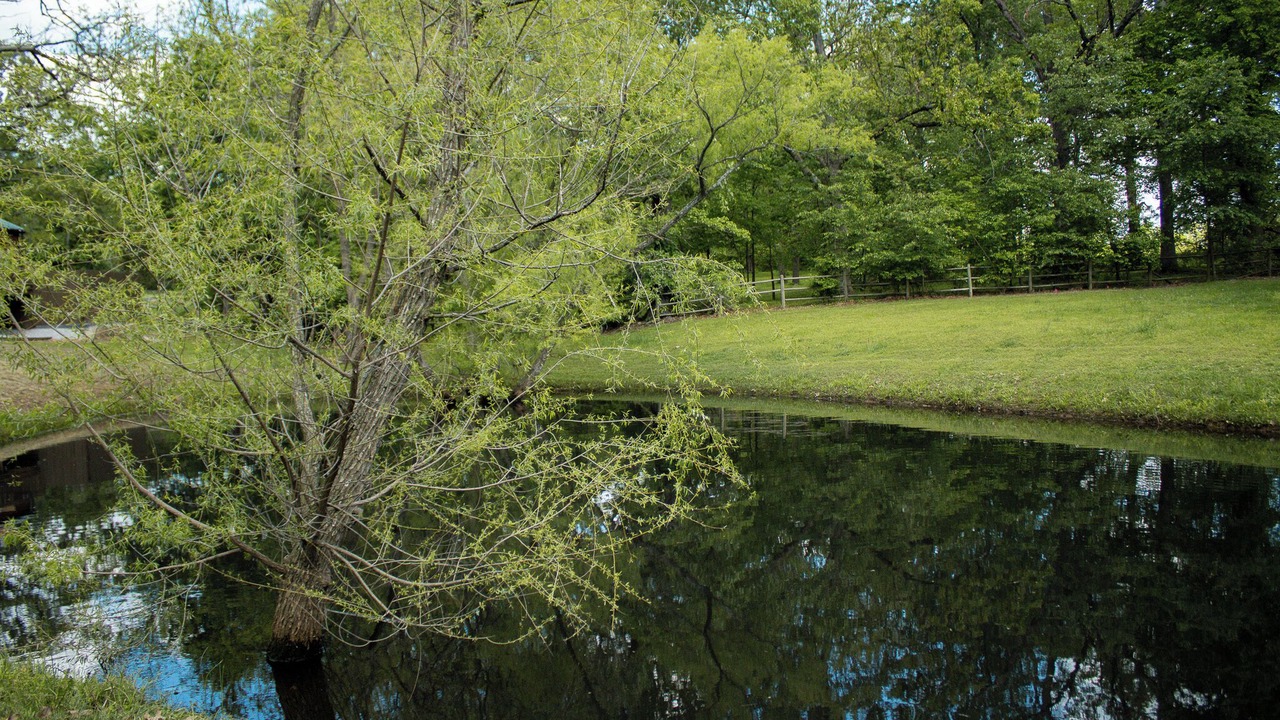 Photo of Others in Fidelity