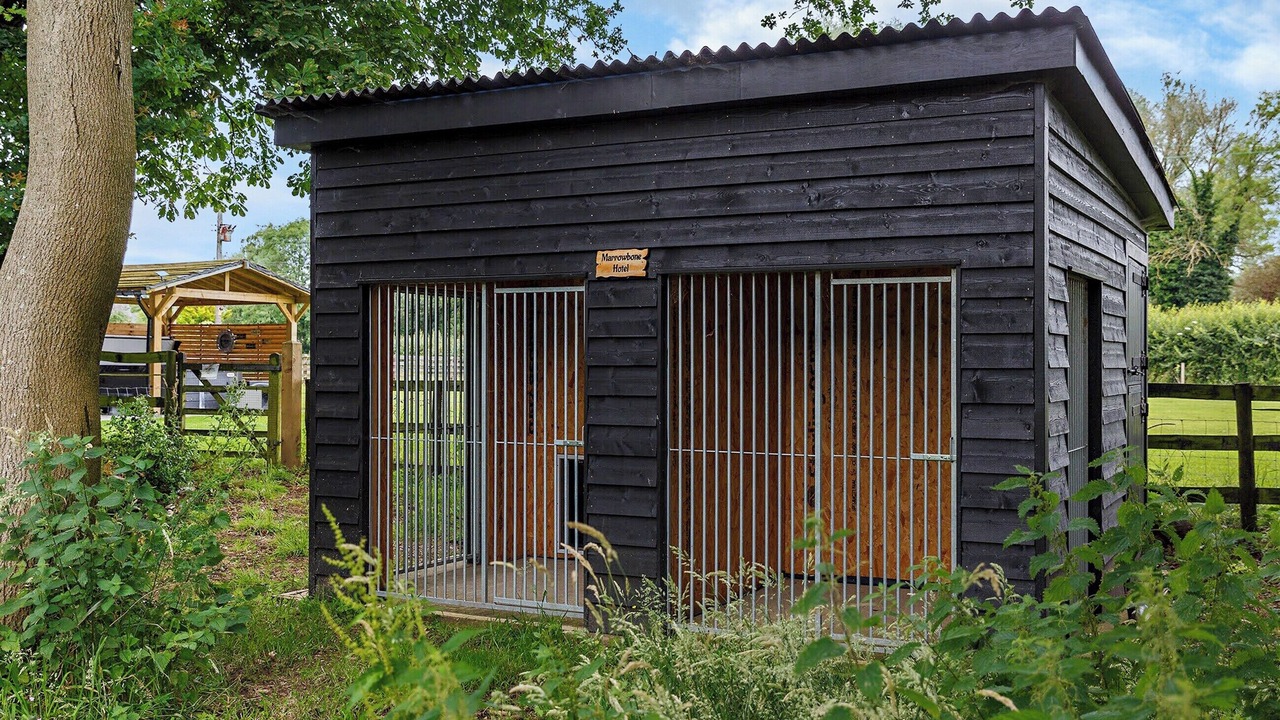 Photo of Outdoor in Saham Toney