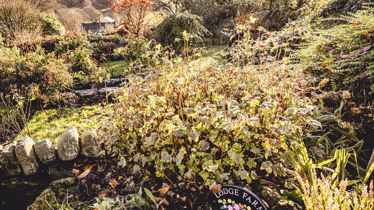 Photo of Outdoor in Oakworth