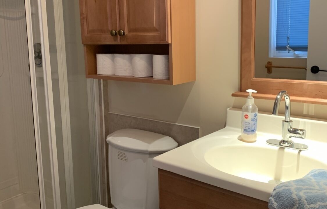 Photo of Bathroom in Saint-Faustin-Lac-Carre