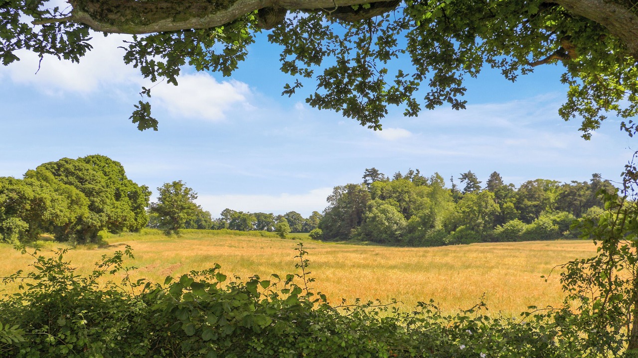 Photo of Outdoor in Eleighwater