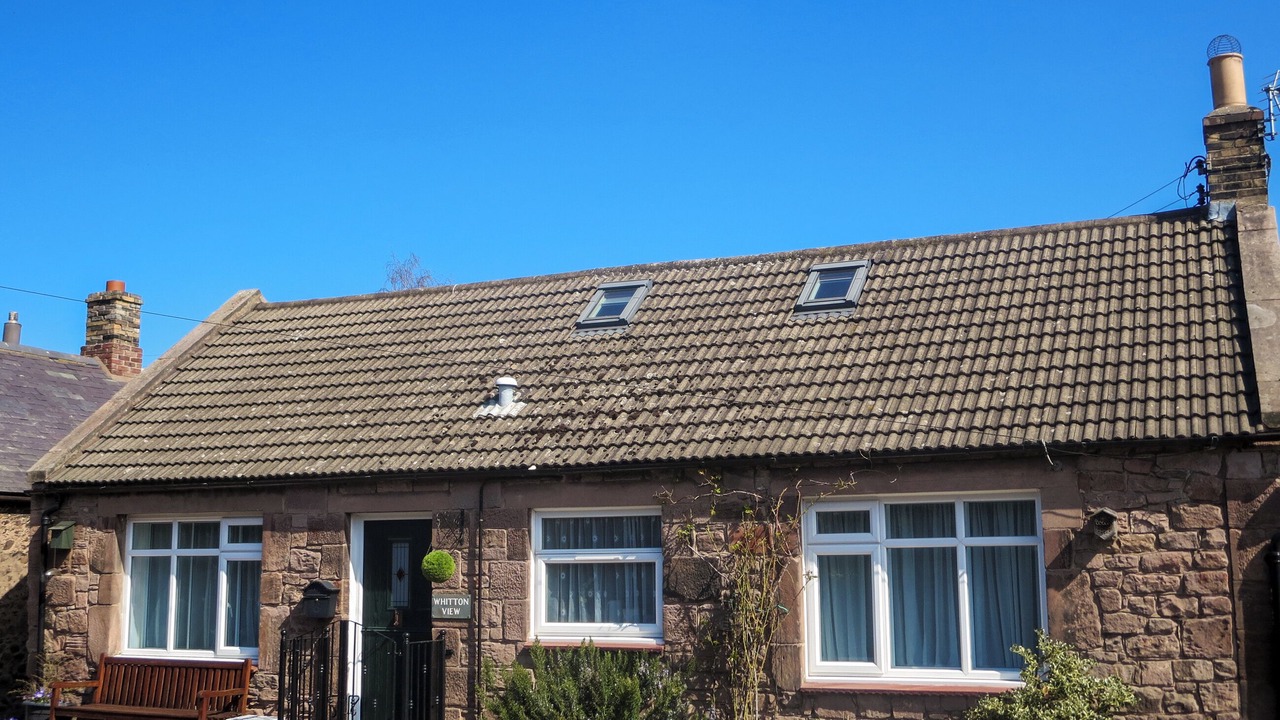 Photo of Others in Milfield